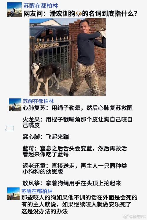 女童被狗扑咬受伤,女儿被小狗咬了没出血怎么办