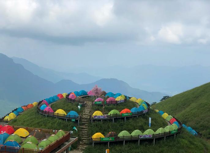 武功山有大量臭屁虫,武功山有大量臭屁虫的地方