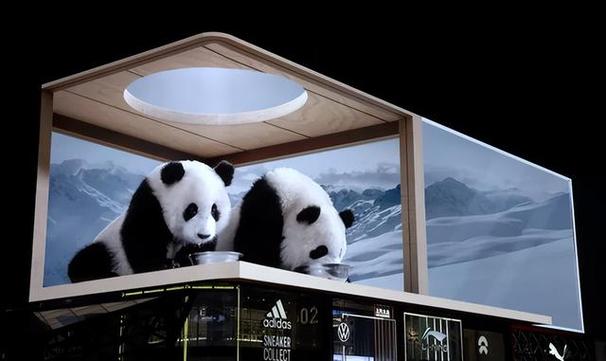 成都裸眼3D蛇太逼真,成都裸眼3d原理